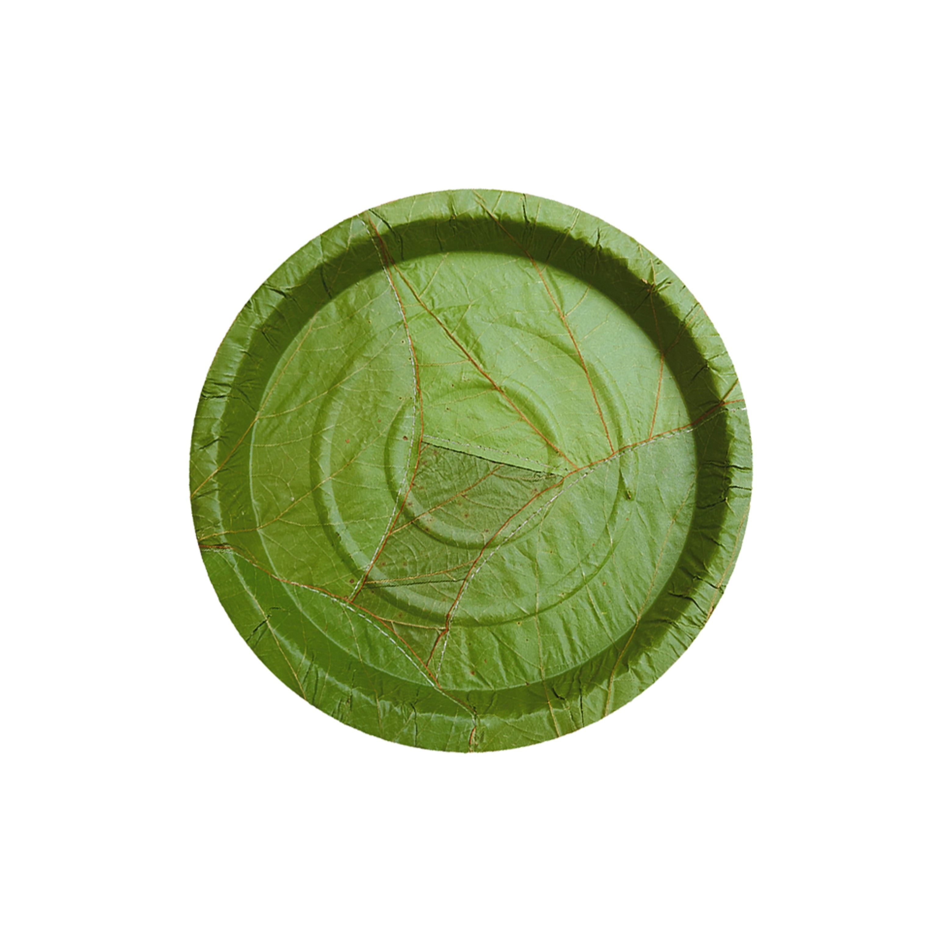 9 inch eco-friendly Siali leaf plate - biodegradable disposable tableware